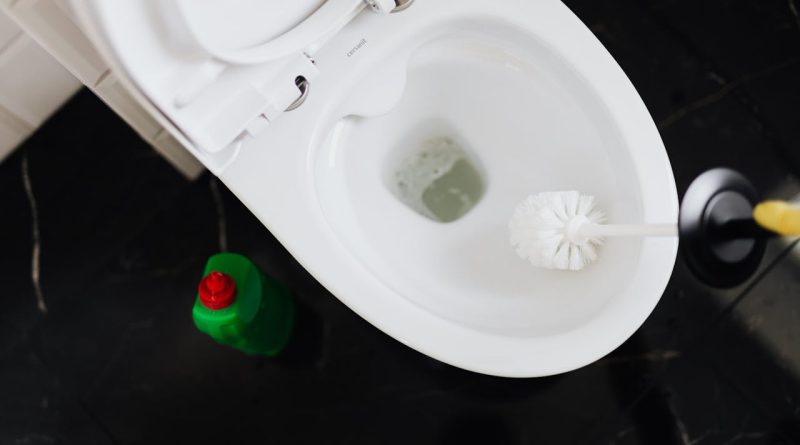 Comment Déboucher les Toilettes
