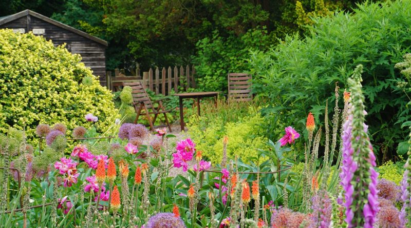 Faut-il arroser son jardin tous les jours