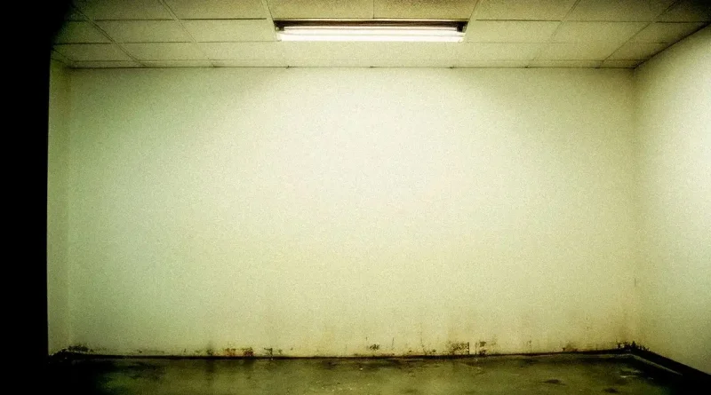 comment nettoyer un mur blanc​
