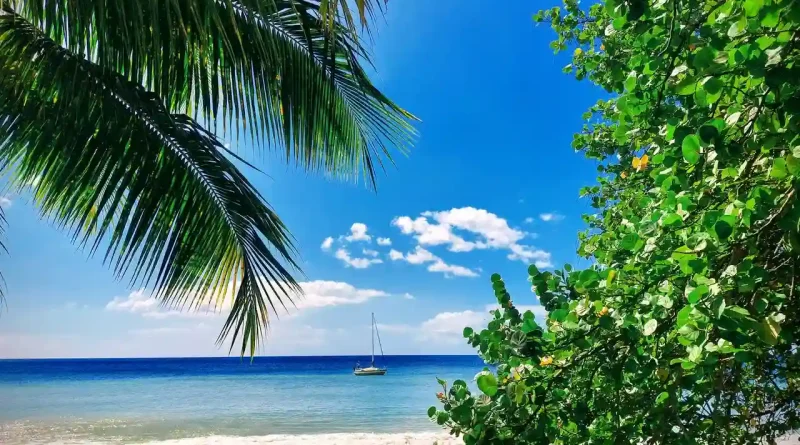 que faire en Martinique